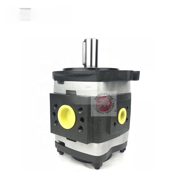 IPVS3-3.5 IPVS3-5 IPVS3-6.3 IPVS3-8 Шестерённый гидронасос Voith